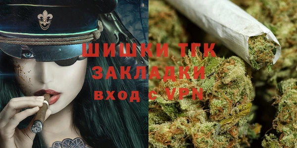 молекула духа Горнозаводск