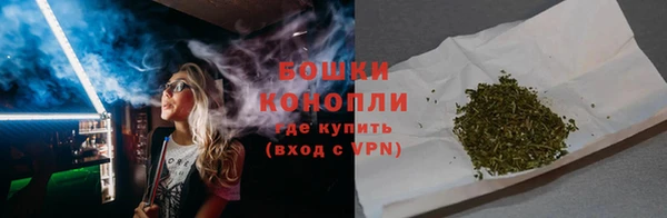 молекула духа Горнозаводск