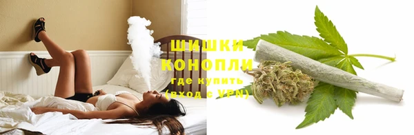 молекула духа Горнозаводск