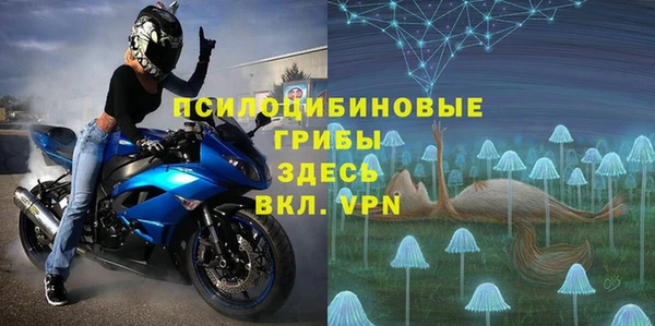молекула духа Горнозаводск