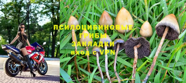 дурь Дмитровск