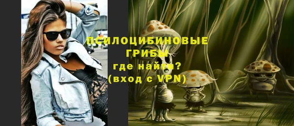 молекула духа Горнозаводск