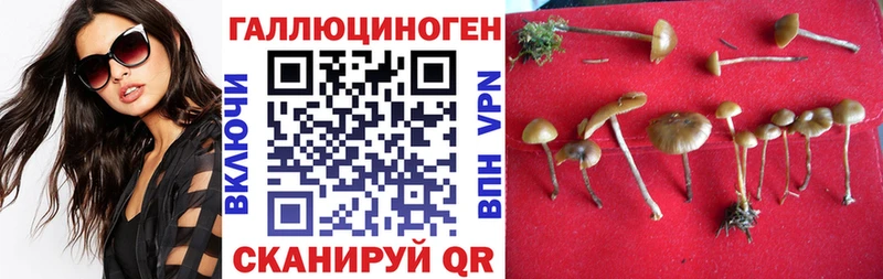 Купить  Катав-Ивановск  Псилоцибиновые грибы мицелий 